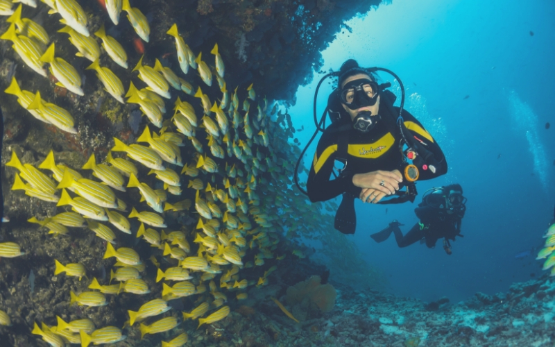 scuba-diving-india