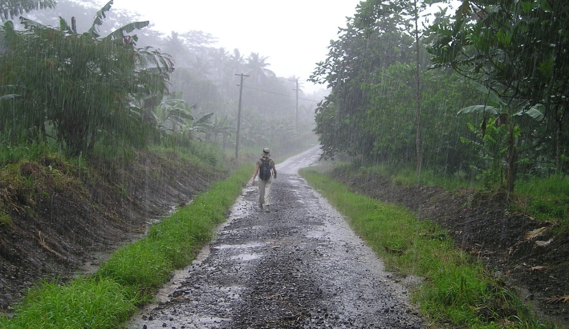 10 essential tips for monsoon travel to Wayanad, Kerala.