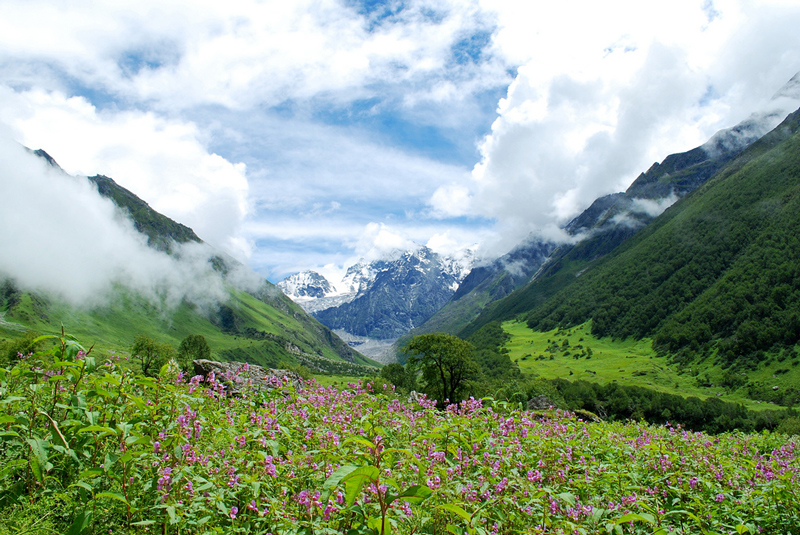valley-of-flowers-trek